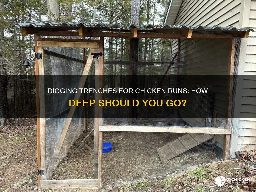 how deep to dig the trench for a chicken run