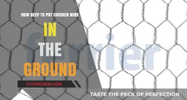 Protecting Your Garden: Chicken Wire Depth Guide