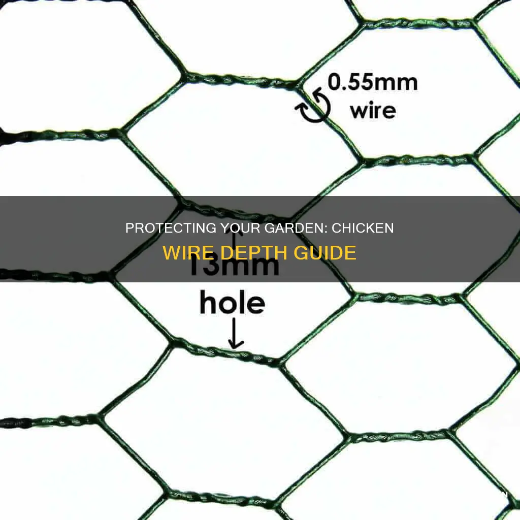 how deep to put chicken wire in the ground
