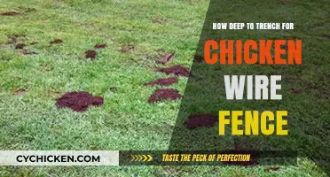 Optimal Trench Depth for Installing Chicken Wire Fences: A Guide