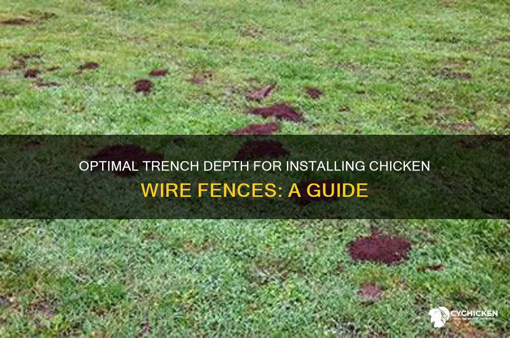 how deep to trench for chicken wire fence