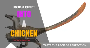 The Evolution Mystery: T-Rex to Chicken