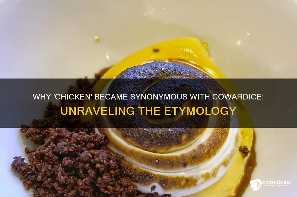 how did chicken become a word for coward