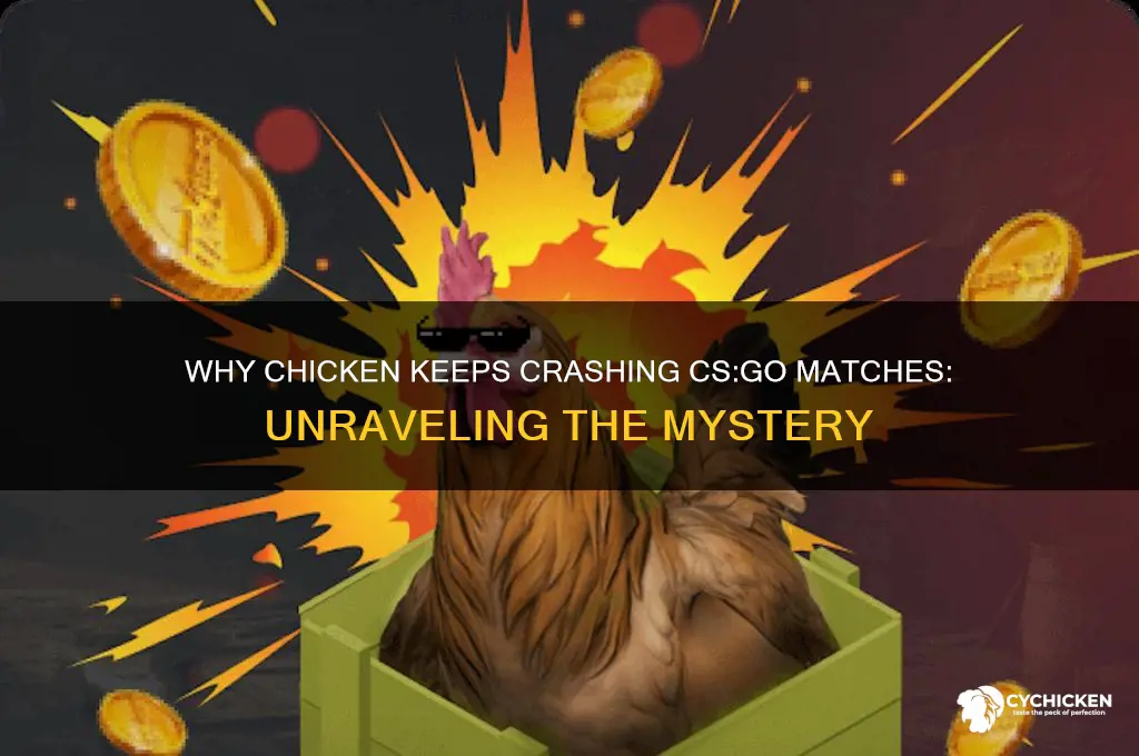 how did chicken keep joining csgo games