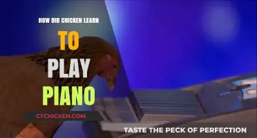 Clucking Melodies: The Surprising Story of a Piano-Playing Chicken