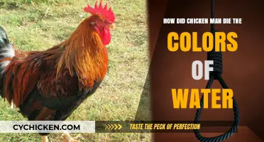 Chicken Man's Death: A Tale of Water's Colors