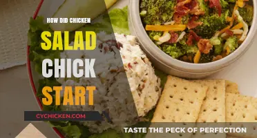 From Humble Beginnings: The Inspiring Story of Chicken Salad Chick's Rise
