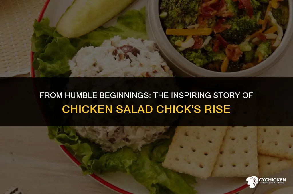 how did chicken salad chick start