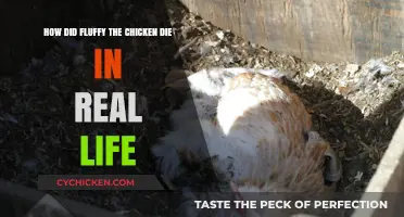 The Tragic End of Fluffy: An Unexpected Twist