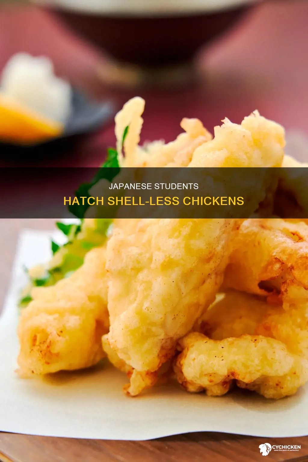 how did japanese students hatch a chicken without shell