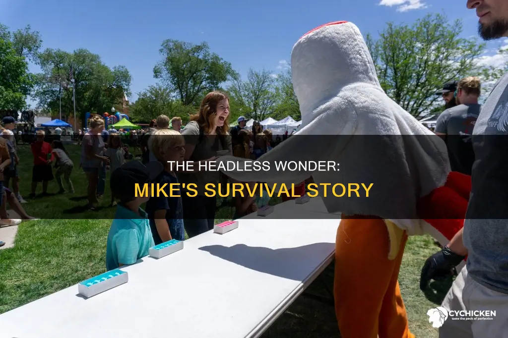 how did mike the chicken live without a head