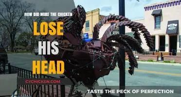 Mike the Headless Chicken: The Astonishing Tale of Survival