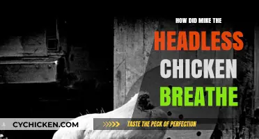 How Mike the Headless Chicken Survived and Breathed Without a Head