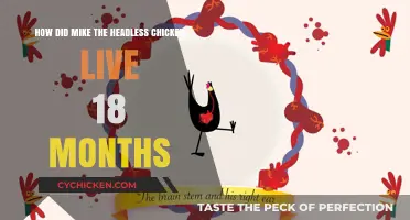Headless Mike: The Chicken's 18-Month Mystery
