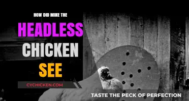 How Did Mike the Headless Chicken See? Unraveling the Mystery