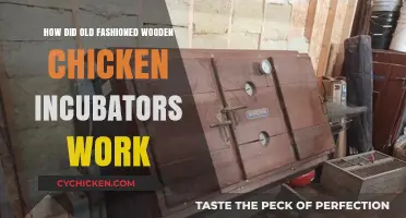 Old-Fashioned Wooden Chicken Incubators: A Historical Hatching Method Explained