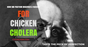 Pasteur's Journey to the Chicken Cholera Vaccine