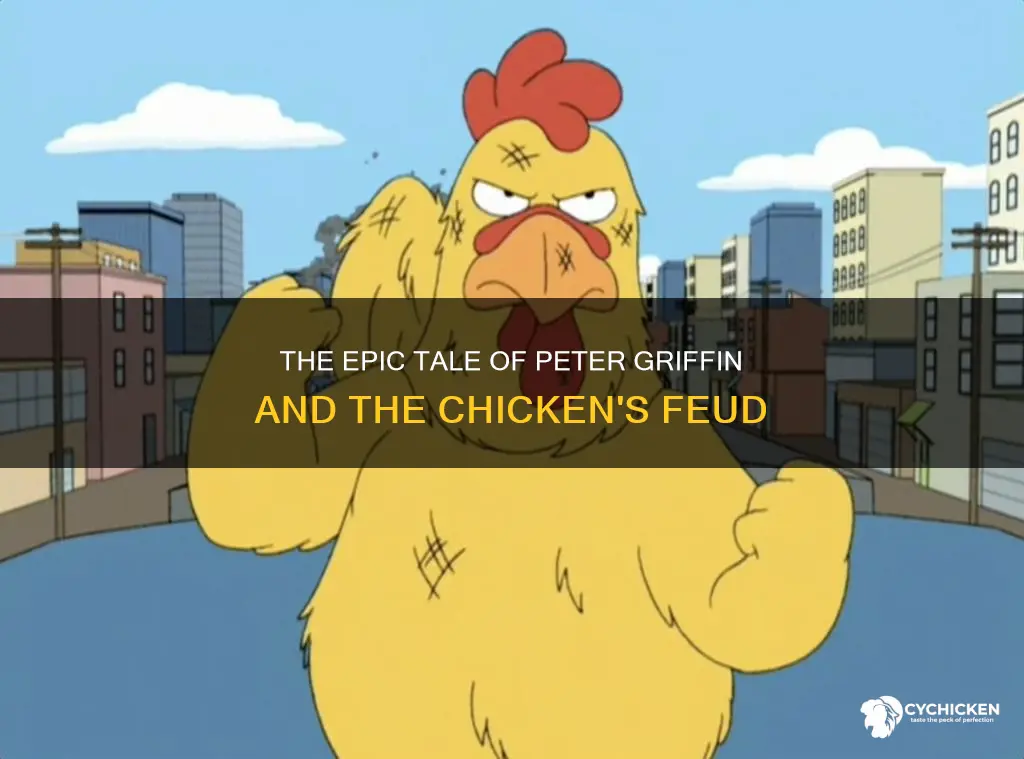 how did peter griffin and the chicken start fighting