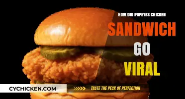 Popeyes Chicken Sandwich Craze: How a Fast-Food War Went Viral