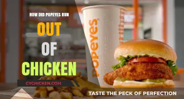 Popeyes Chicken Sandwich Craze: How Demand Outpaced Supply Overnight