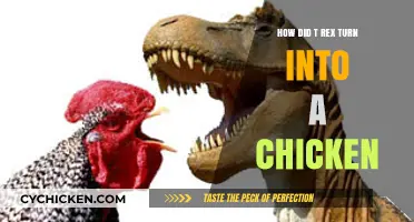 From T-Rex to Chicken: The Astonishing Evolution of Dinosaurs