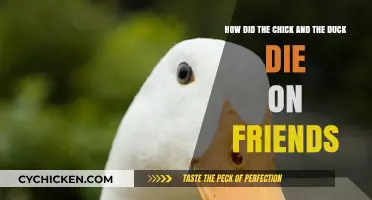 The One Where Chick and Duck Died