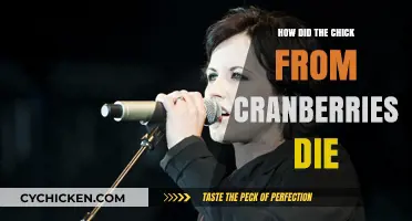 The Tragic Death of Cranberries' Lead Singer Dolores O'Riordan