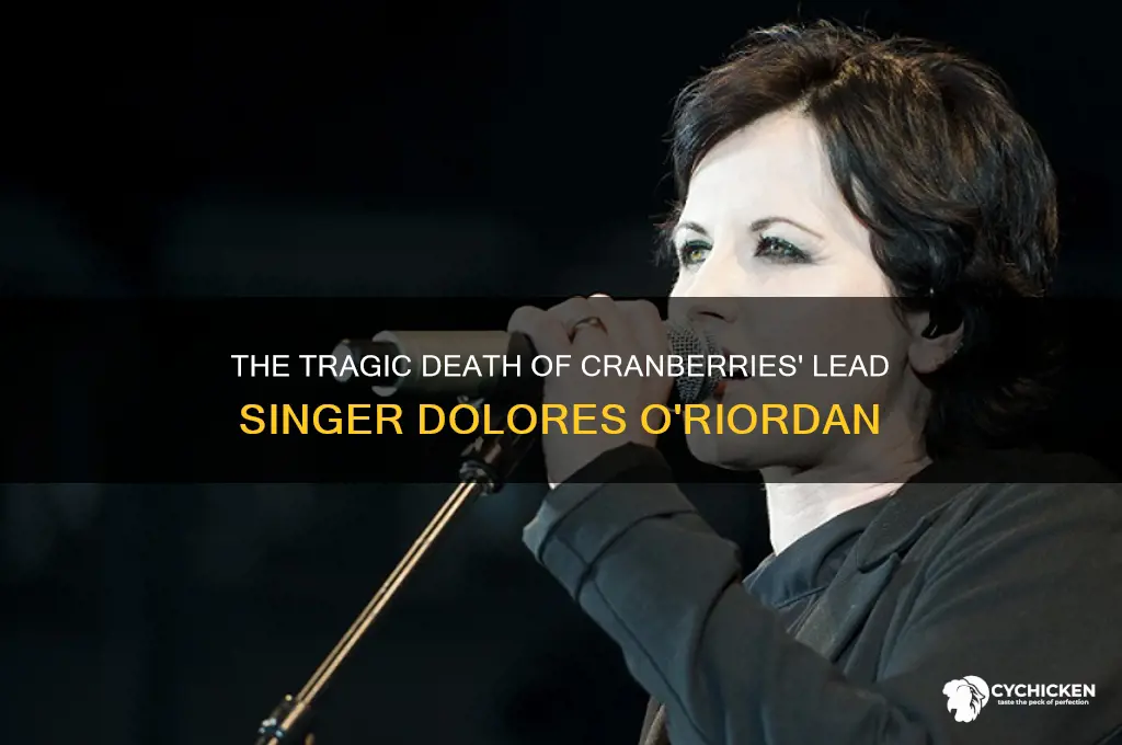 how did the chick from cranberries die