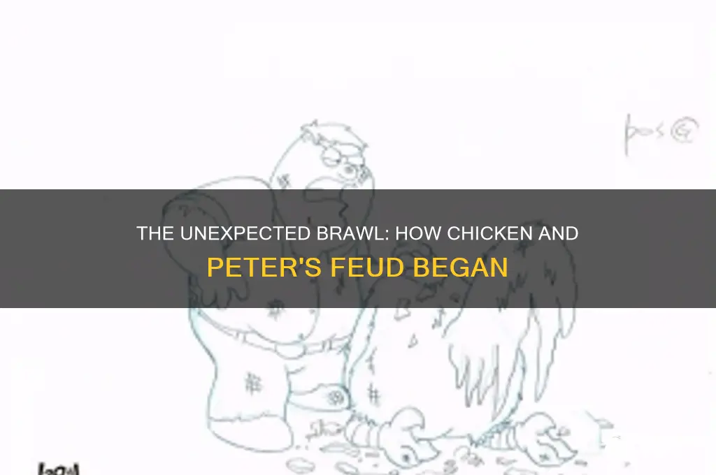 how did the chicken and peter start fighting