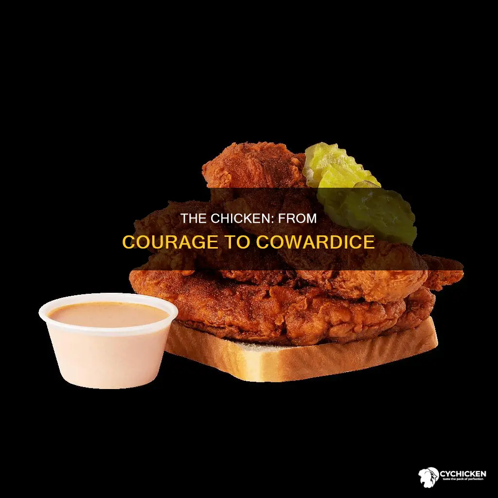 how did the chicken become the symbol of cowardice