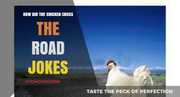 Why Did the Chicken Cross the Road? Unraveling the Timeless Joke