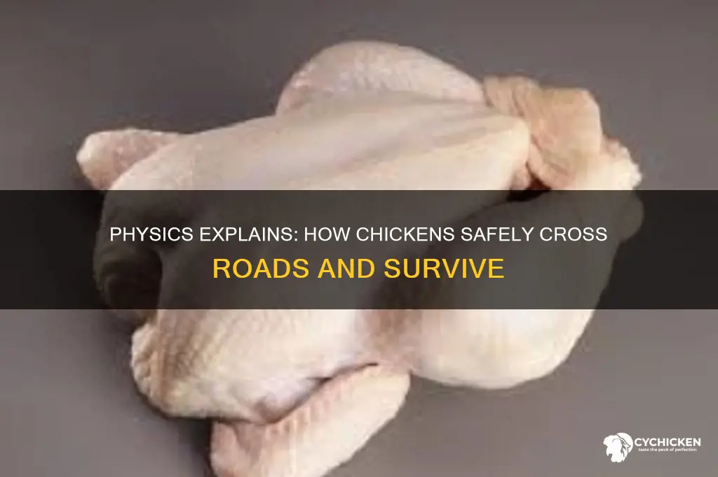 how did the chicken cross the road physics