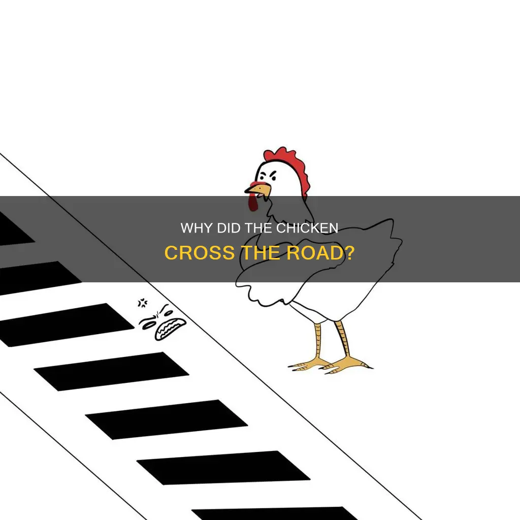 how did the chicken cross the road suicide joke
