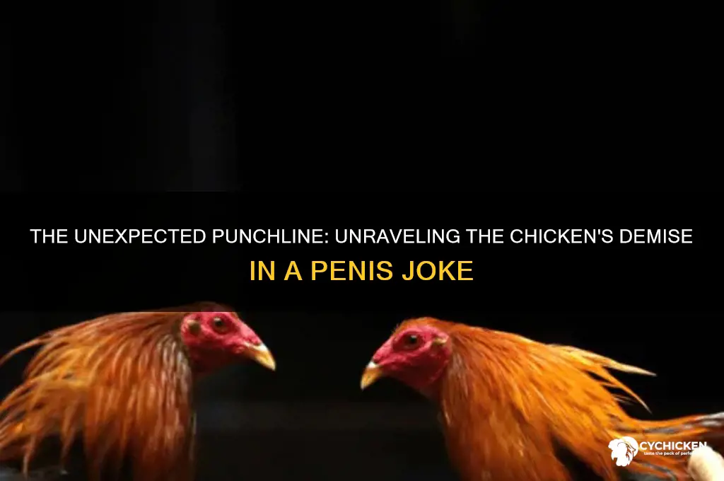 how did the chicken die penis joke