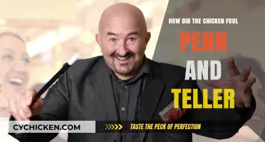 The Astonishing Trick: How a Chicken Outsmarted Penn & Teller