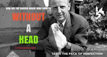 The Chicken's Magic: Life After Decapitation