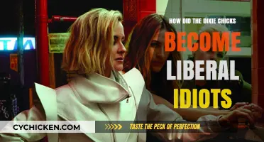 The Dixie Chicks' Political Awakening: From Country Stars to Liberal Voices