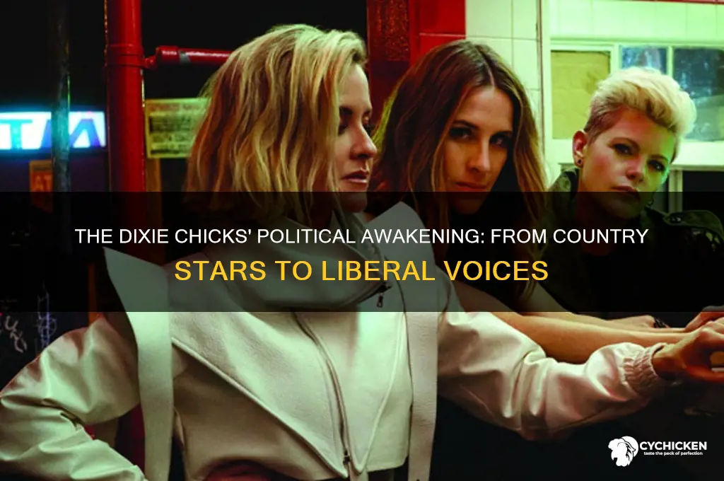how did the dixie chicks become liberal idiots