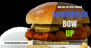 The Fiery Rise of the Spicy Chicken Sandwich Craze