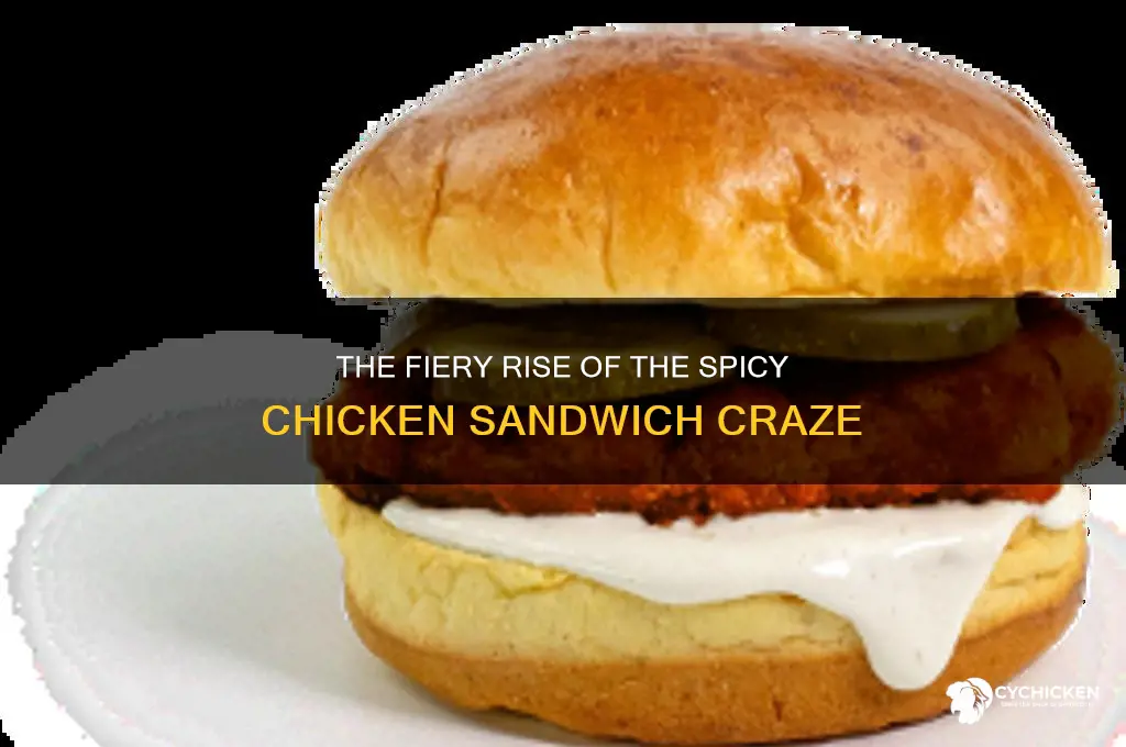 how did the spicy chicken sandwchich bow up
