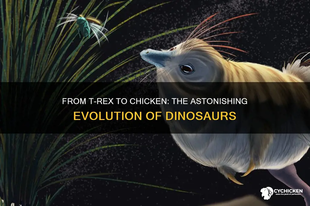 how did the trex turn into chicken