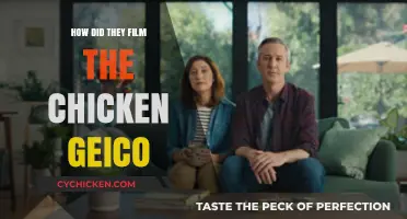 Behind the Scenes: Filming GEICO's Iconic Chicken Commercial