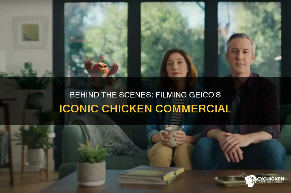 how did they film the chicken geico
