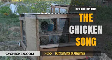 Behind the Scenes: Filming the Iconic Chicken Song Music Video