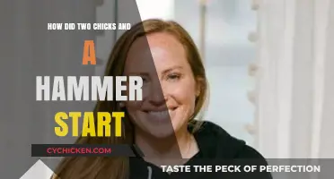 Two Chicks and a Hammer: The Inspiring Journey of a DIY Empire