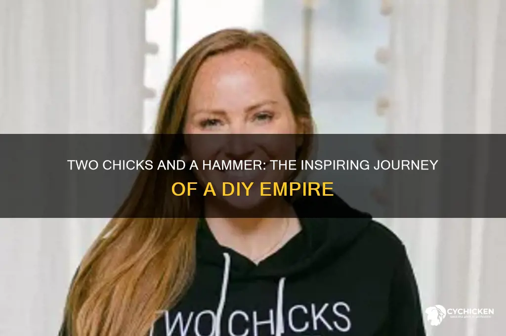 how did two chicks and a hammer start