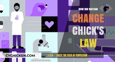 Watson's Impact: Transforming Chick's Law in Legal AI Revolution