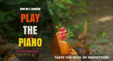 Clucking Melodies: How Chickens Can Peck Out Piano Tunes