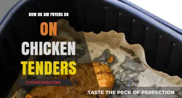 Crispy Perfection: Air Fryer Chicken Tenders Tested and Reviewed