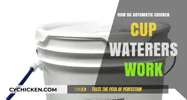Understanding Automatic Chicken Cup Waterers: A Simple, Efficient Hydration Solution